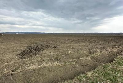 Teren de 24100 mp, în Gura Ocniței - 5