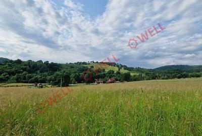 Teren de 940 mp, în Brăduț - 1