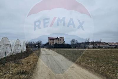TEREN  INTRAVILAN 5,000mp ORAS CISNADIE  STR.  SELIMBARULUI - 3