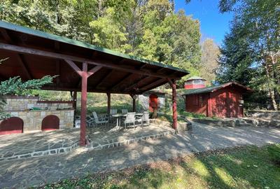 Casă cu 6 camere în Ocoliș - 1