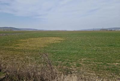 Teren în Șimnicu de Sus