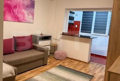 Garsoniera de inchiriat, zona The Office/BRD Marasti - 2