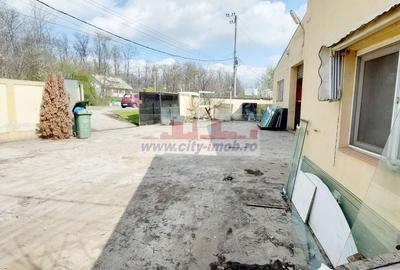 Inchiriere Spatiu Comercial Stradal Mogosoaia - 6