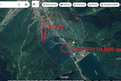 Teren agricol extravilan de 10000 mp, în Brădet - 1