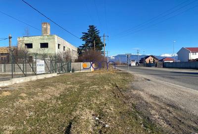 Teren Construcții intravilan de 34000 mp, în Exterior Vest - 7