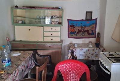 Vand casa teren 3000mp satul Gresia, Rosiorii de Vede, Teleorman - 10