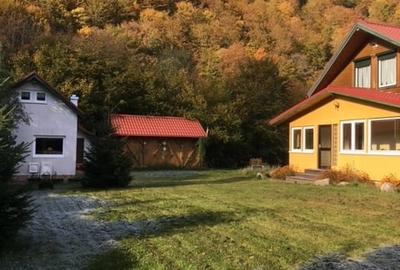 Casa cu Teren de 3000 metri patrati de vanzare - 3