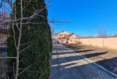 Casă cu 5 camere cu Teren 10000 Mp în Bumbești-Pițic - 13