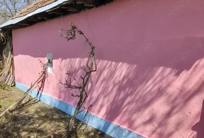 Casă cu 2 camere cu Teren 2007 Mp în Sălcuța - 4
