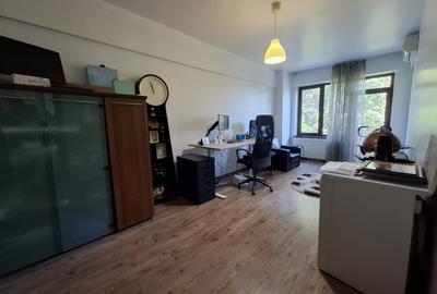 Casă individuală cu 10 camere cu Teren 971 Mp în Dacia - 18