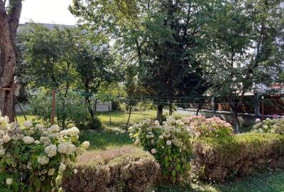 Casa 3 camere, teren 3625 mp, toate utilitatile, Sacele, Brasov - 5