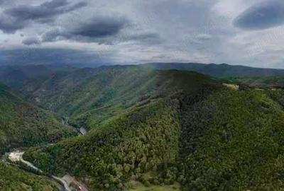 Casă cu 3 camere în Bumbești-Jiu - 8