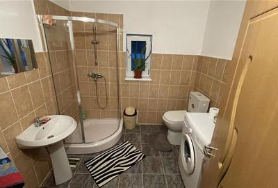 Casă individuală cu 4 camere cu Teren 2500 Mp în Ulieș - 32