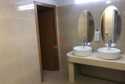 Depozit/hala/spatiu industrial Theodor Pallady - Drumul Int - 15