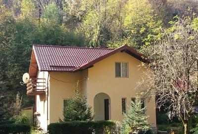 Casă cu Teren 1680 Mp în Govăjdia - 4