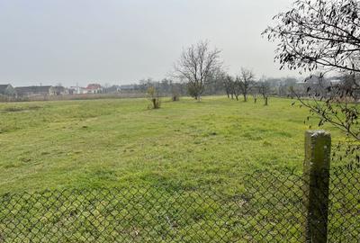 Teren Construcții intravilan de 2104 mp, în Sânmihaiu Român - 2