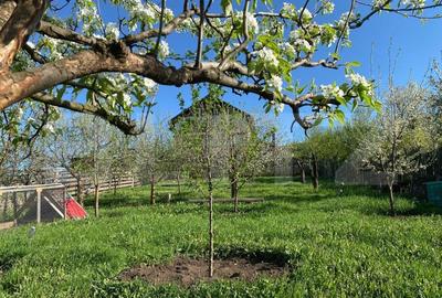 Casa de vanzare in Baciu, Mera - liniste, spatiu si natura la doar 13 km de oras - 6