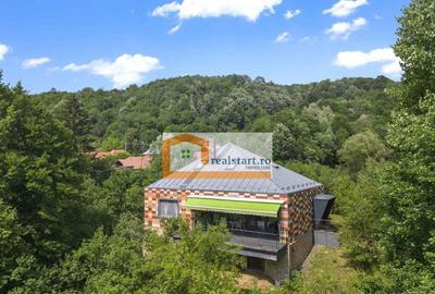Cornu, Vedere la Padure, Vila D+P+M, 6600mp teren, 4 parcare - 6