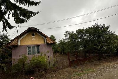 Casă cu 2 camere în Bădeni - 3