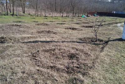 Spațiu comercial, în Muntenii de Jos - 11