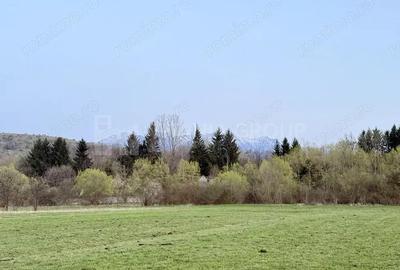 Teren intravilan, 7838 mp, cu priveli?te superba spre mun?i Zarne?ti - 8