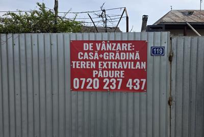 Casă cu 3 camere în Secuieni - 4