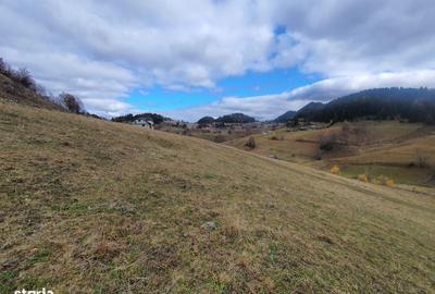 Spațiu comercial, în Bran - 5