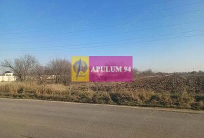 Teren de 8800 mp, în Săbăreni - 1