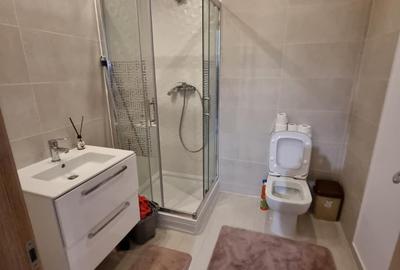 Apartament mobilat si utilat in Rin Grand Hotel- Vitan Barzesti - 9