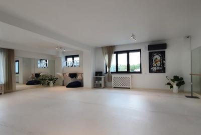 Vila S+P+3E, teren 470 mp, 1000mp ,  Kiseleff - 11