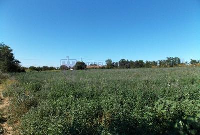 TUZLA - Teren intravilan 1000 mp, langa lacul Techirghiol! TUZLA - Teren intravilan 1000 mp, langa lacul Techirghiol! - 7