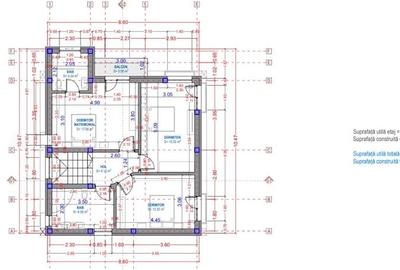 Proiect distinct, din pasiune pentru calitate, Cristian, Brasov - 28