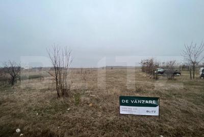 Teren 50.000 mp, zona Peugeot - 2