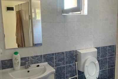 Casă cu 3 camere cu Teren 2533 Mp în Dunărea - 7