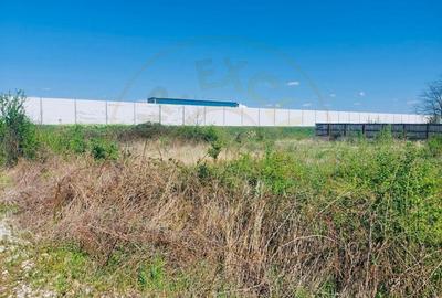 Teren Construcții intravilan de 2183 mp, în Prundu