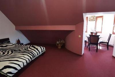 Casa de vacanta sau pensiune situata langa Cabana Trei Brazi Predeal - 9