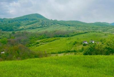 Terenuri extravilane Cozieni, jud. Buzau 70000mp - 2