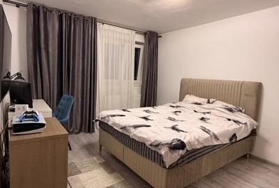 Apartament cu 2 camere decomandat, mobilat în Industriilor - 20