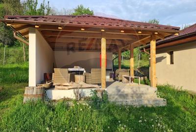 Vanzare casa  4 camere-microferma, cu panouri fotovoltaice - 17