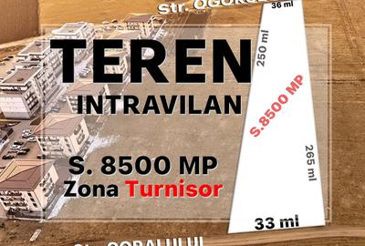 RO/EN Teren Intravilan, 8.500 mp, Turnisor, deschidere la 2 strazi |SkyView