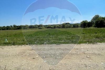 TEREN  INTRAVILAN 5,000mp ORAS CISNADIE  STR.  SELIMBARULUI - 8