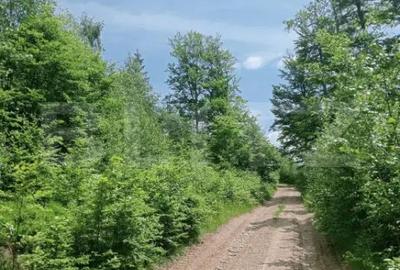 Teren în Scărișoara - 2