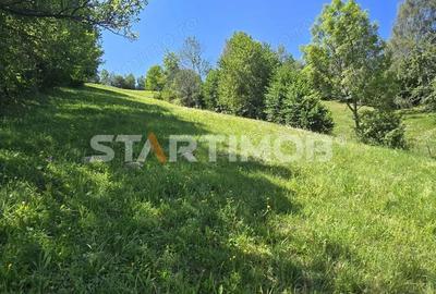 Teren de 3296 mp, în Bran