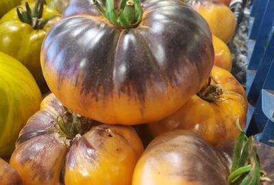 Proprietate de vanzare langa Bucuresti - 2