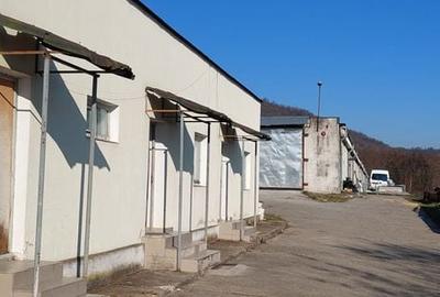 Spațiu comercial, de 1,700 mp, în Cicârlău - 1
