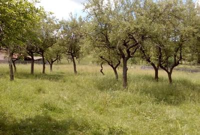 Teren de 10400 mp, în Central - 15