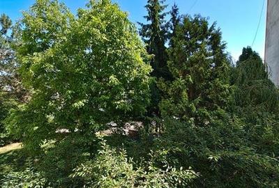 Garsoniera de v?nzare ?n Cartierul Mănăștur Cluj Napoca - 9