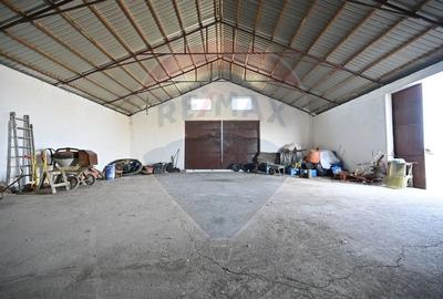 Casa + teren + hala de vanzare in Beregsau - 0% Comision - 5