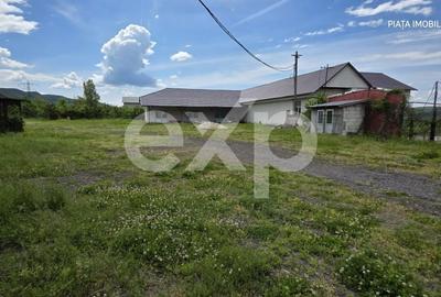 Spațiu comercial, de 425 mp, în Pietrari - 11