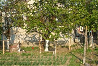 Casa de vanzare in Zorleni - 1